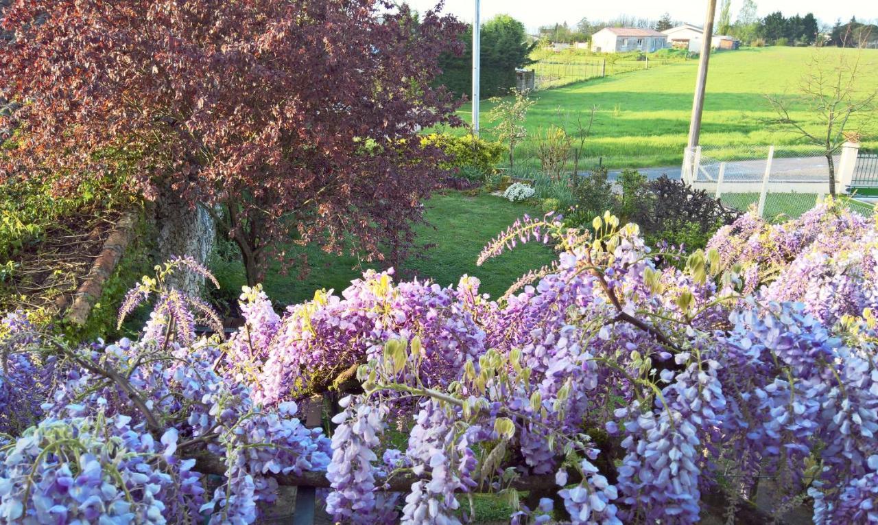 Les Glycines Bed & Breakfast Eymet Eksteriør billede